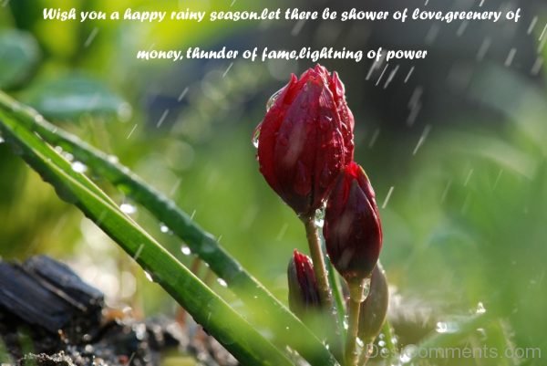 Wish You A Happy Rainy Season