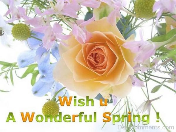 Wish You A Wonderful Spring-DC104