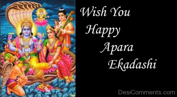 Wish You Happy Apara Ekadashi-DC4