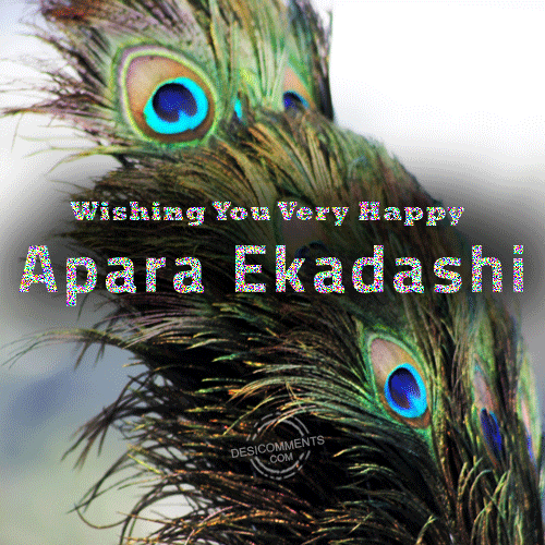 Wishing You Happy Apara Ekadashi