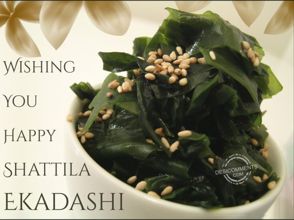 Wishing You Happy Shattila Ekadashi