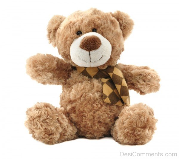 Wonderful Teddy Bear