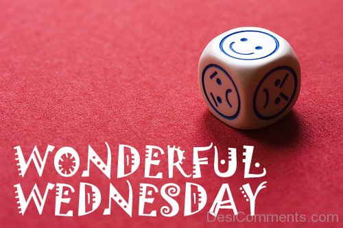 Wonderful Wednesday