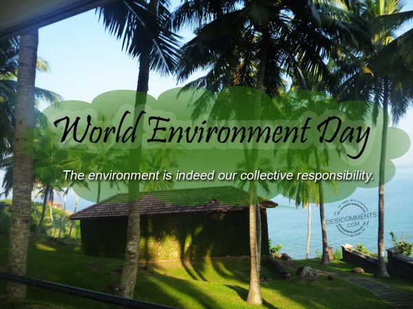 World Environment Day