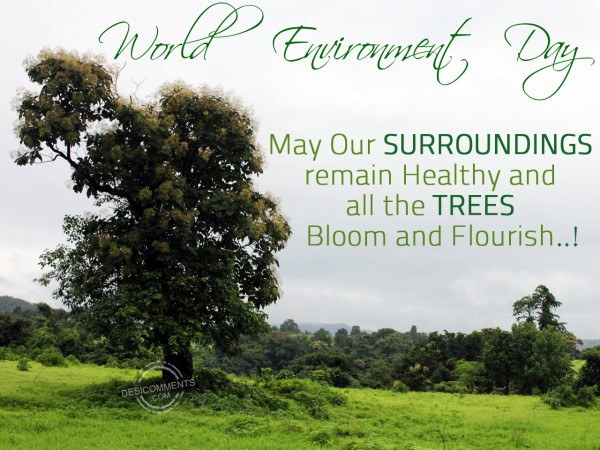 World Environment Day – Save Tree