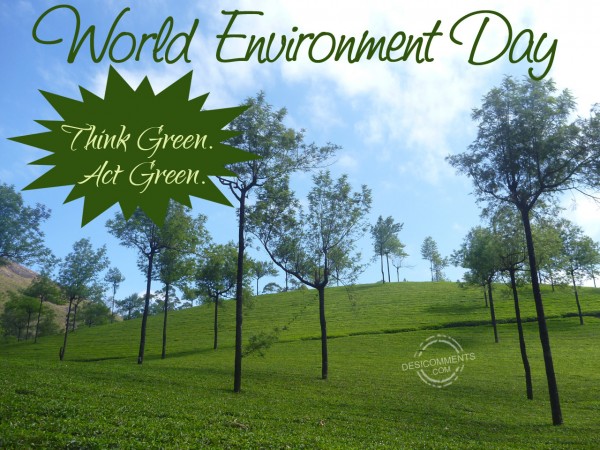 World Environment Day – Think Green Act Green