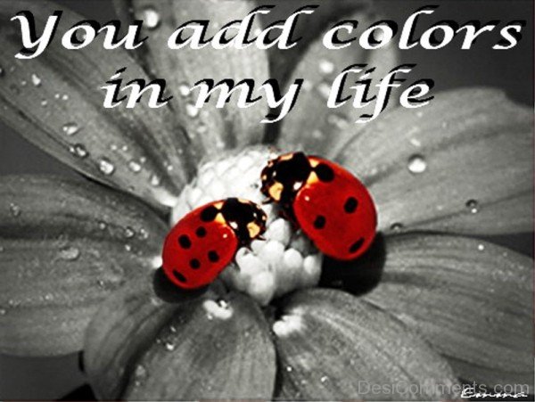 You Add Colors In My Life