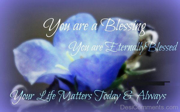 You Are A Blessing Quote