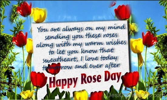 210+ Rose Day Images, Pictures, Photos - Page 7