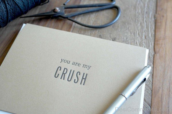 You Are My Crush-dc22Desi21
