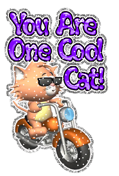 You Are One Cool Cat