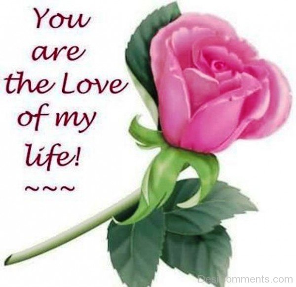 You Are The Love Of My Life-YTE336DC13