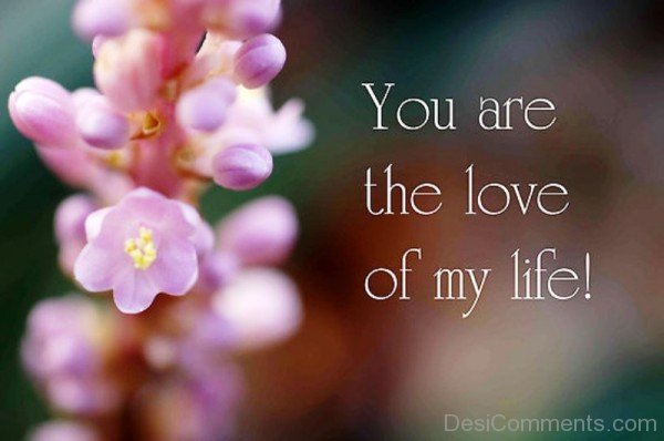 You Are The Love Of My Life-pyb624DC10