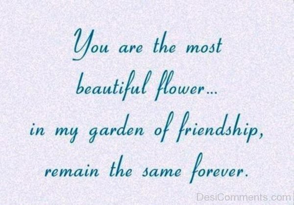 You Are The Most Beautiful Flower