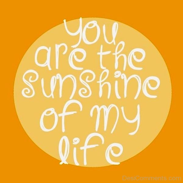 You Are The Sunshine Of My Life-pyb627DC03