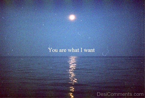 You Are What I Want