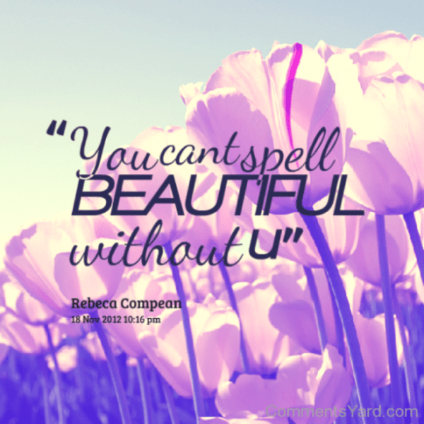 You Can’t Spell Beautiful Without You 3-DC133