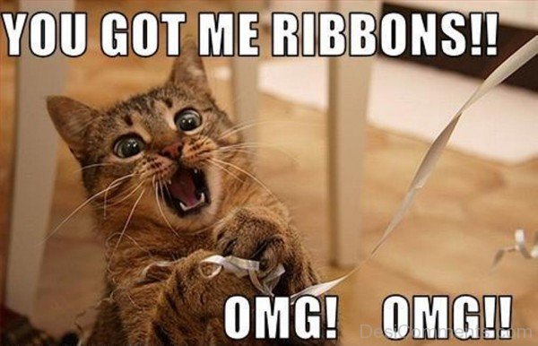 You Got My Ribbons