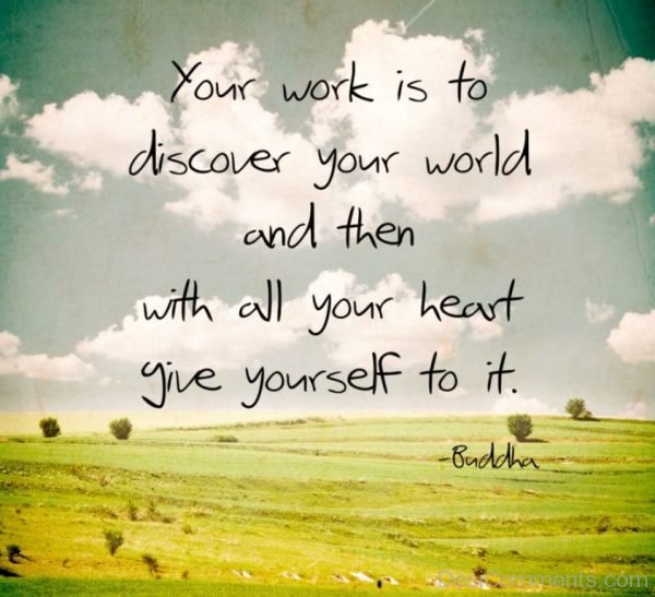 Your Work Is To Discover-Dc260