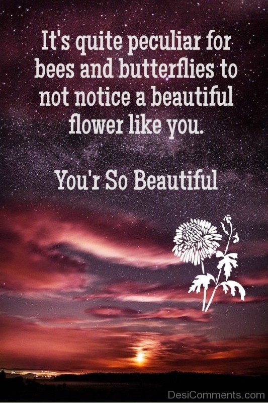 You're So Beautiful Image-ybe2111DC108