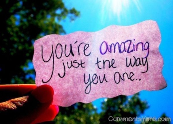 You’re Amazing Just The Way You One