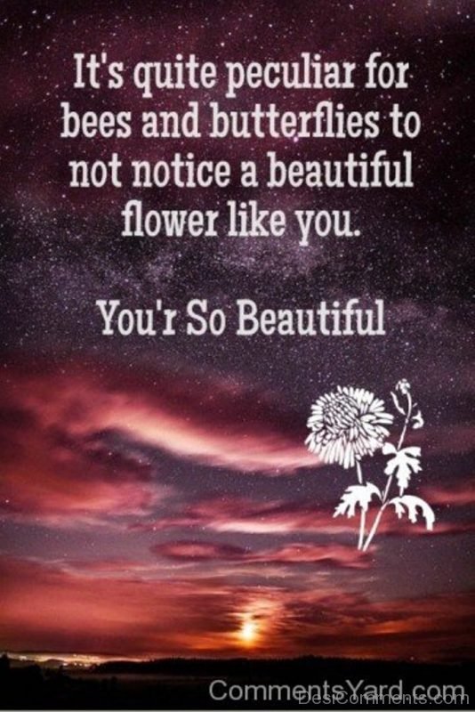 You’re So Beautiful Image-DC157