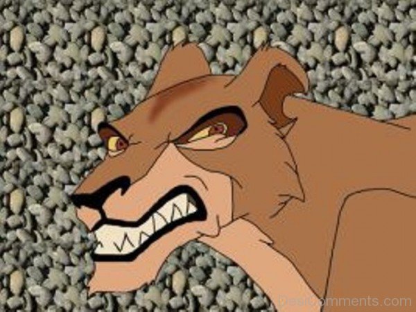 Zira Picture