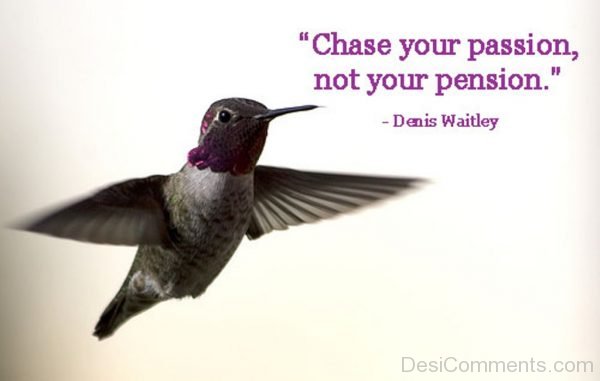 chase your passion
