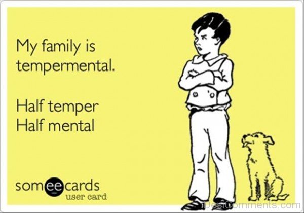 My Family Is Tempermental