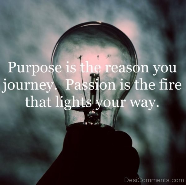 purpose is the reason