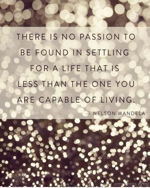 there is no passion to be found